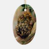 Pygmy Marmoset mit Twins Keramik Ornament (Rechts)