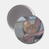 Pygmy Marmoset Portrait Magnet (Vorderseite/Rückseite)