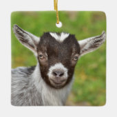 Pygmy Pet Goat Kid Keramikornament (Vorderseite)