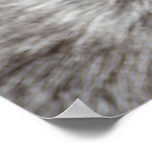 Pygmy Pet Goat Kid Poster (Ecke)