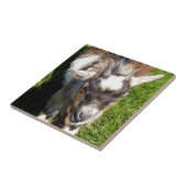 PYGMY ZIAT FLIESE (Seite)