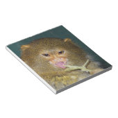 Pygmymarmoset10x10 Notizblock (angewinkelt)