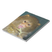Pygmymarmoset10x10 Notizblock (Rotiert)