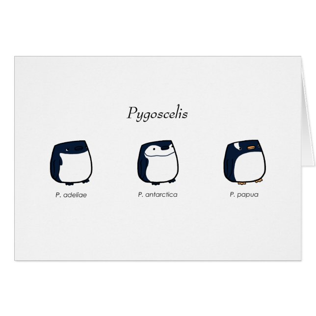 Pygoscelis-Karte (Vorderseite (Horizontal))