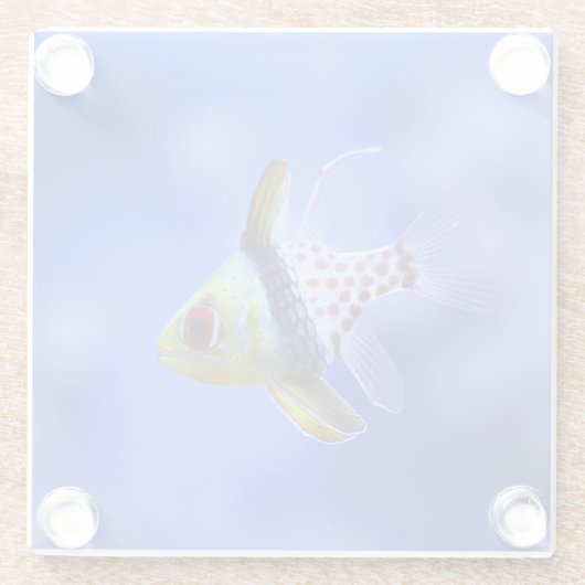 PyjamaCardinalfish Glasuntersetzer (Rückseite)