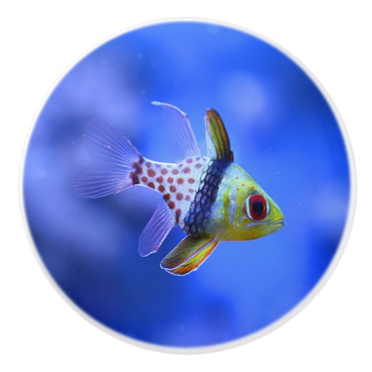 Pyjamacardinalfish-Keramik-Griff Keramikknauf (Vorderseite)