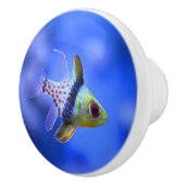Pyjamacardinalfish-Keramik-Griff Keramikknauf (Rechts)
