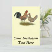 Pyncheon Bantams Einladung (Stehend Vorderseite)