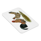 Pyncheon Bantams Magnet (Rechte Seite)