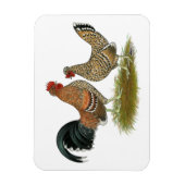 Pyncheon Bantams Magnet (Vertikal)