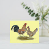 Pyncheon Bantams Postkarte (Stehend Vorderseite)