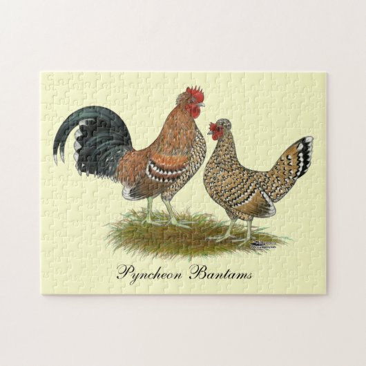 Pyncheon Bantams Puzzle (Horizontal)