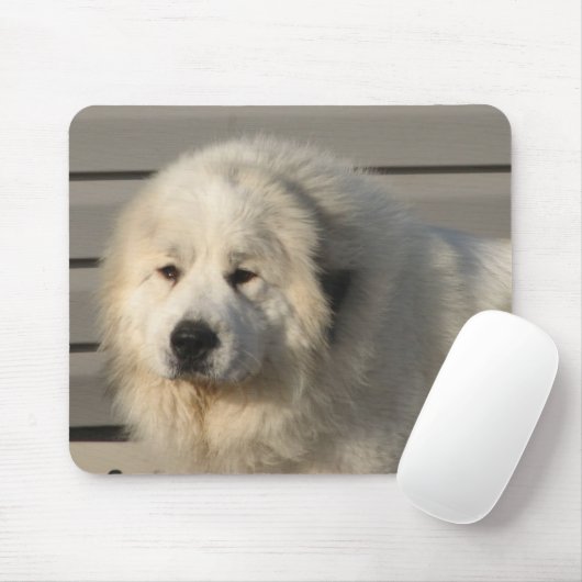 Pyr Power Mousepad (Mit Mouse)