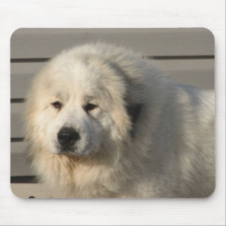 Pyr Power Mousepad