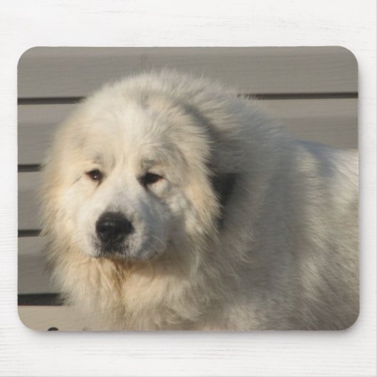 Pyr Power Mousepad (Vorne)