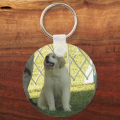 Pyr Puppy Schlüsselanhänger (Vorderseite)