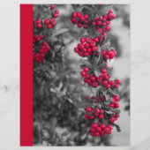 Pyracantha-Beeren-Abendessen-Rezept-Trenner (Rückseite)