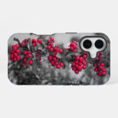 Pyracantha-Beeren-Handyhülle iPhone 16 Hülle (Rückseite (Horizontal))