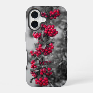 Pyracantha-Beeren-Handyhülle iPhone 16 Hülle