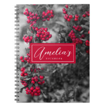 Pyracantha-Beeren-Spiralblock