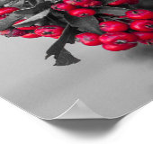Pyracantha-Beeren-Wandkunstposter Poster (Ecke)