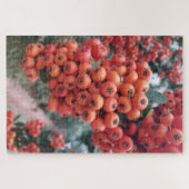 Pyracantha Coccinea - Feuerlöscher Puzzle (Horizontal)