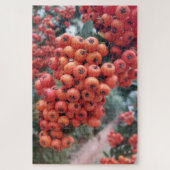 Pyracantha Coccinea - Feuerlöscher Puzzle (Vertikal)