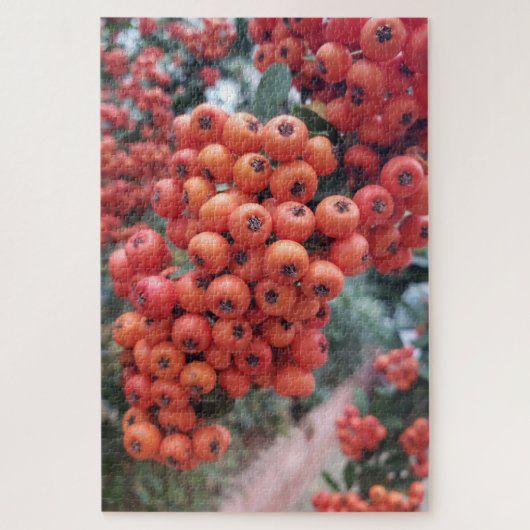 Pyracantha Coccinea - Feuerlöscher Puzzle (Vertikal)