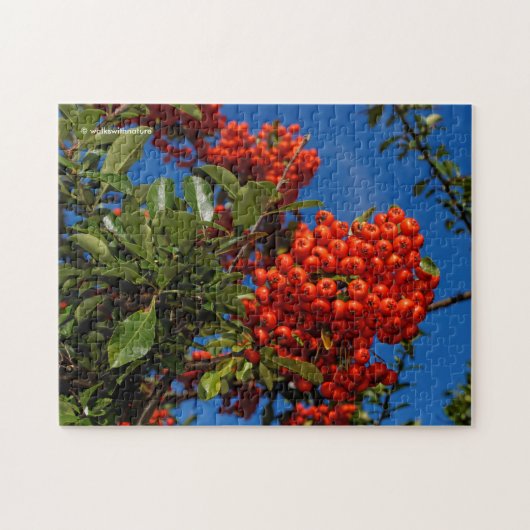 Pyracantha Coccinea / Scarlet Firethorn Puzzle (Horizontal)