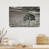 Pyramid Lake, Nevada 2 Poster (Küche)