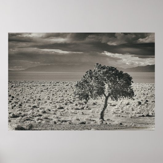 Pyramid Lake, Nevada 2 Poster (Vorne)