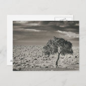 Pyramid Lake, Nevada Postkarte (Vorne/Hinten)