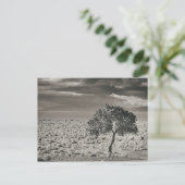 Pyramid Lake, Nevada Postkarte (Stehend Vorderseite)