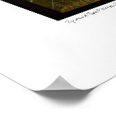 Pyramid Peak & Maroon Bells, Aspen, Colorado Poster (Ecke)