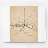 Pyramida Neuron Zeichnend Santiago Ramon y Cajal Mousepad (Vorne)