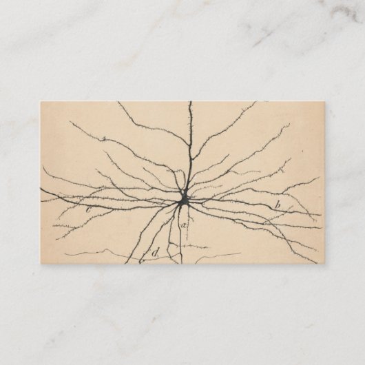 Pyramida Neuron Zeichnend von Santiago Ramón Y Caj Visitenkarte (Vorderseite)