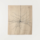 Pyramida Neuron Zeichnend von Santiago Ramón Y Caj Wandteppich (Vorderseite)