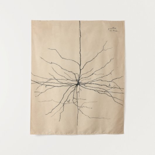 Pyramida Neuron Zeichnend von Santiago Ramón Y Caj Wandteppich (Vorderseite)