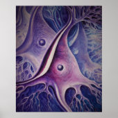 Pyramidal neuron poster (Vorne)
