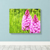 Pyramidal Orchid Canvas Print Leinwanddruck (Insitu (Holzboden))