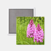Pyramidal Orchid Magnet (Vorderseite/Rückseite)