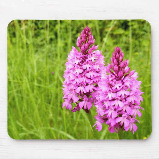 Pyramidal Orchid Mouse Mat Mousepad (Vorne)