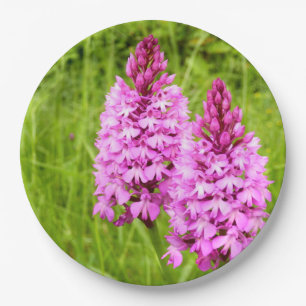 Pyramidal Orchid Paper Teller