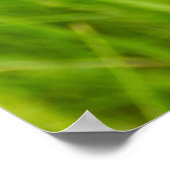 Pyramidal Orchid Poster (Ecke)