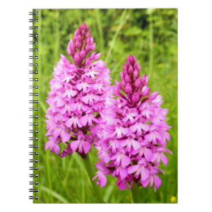 Pyramidal Orchid Spiral Foto Notebook Notizblock