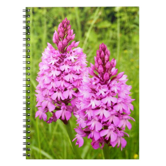 Pyramidal Orchid Spiral Foto Notebook Notizblock (Vorderseite)