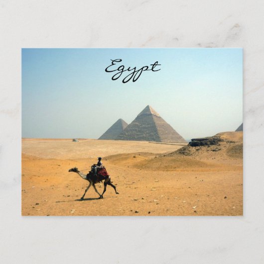 Pyramidenkamel Postkarte (Vorderseite)