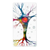 Pyramidenneuron im Neocortex (Vorne)