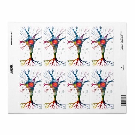 Pyramidenneuron im Neocortex (Vorne)