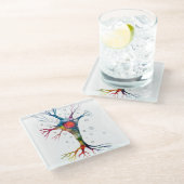 Pyramidenneuron im Neocortex Glasuntersetzer (Schrägansicht)